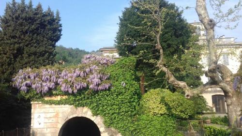 New Generation Hostel Lake Como