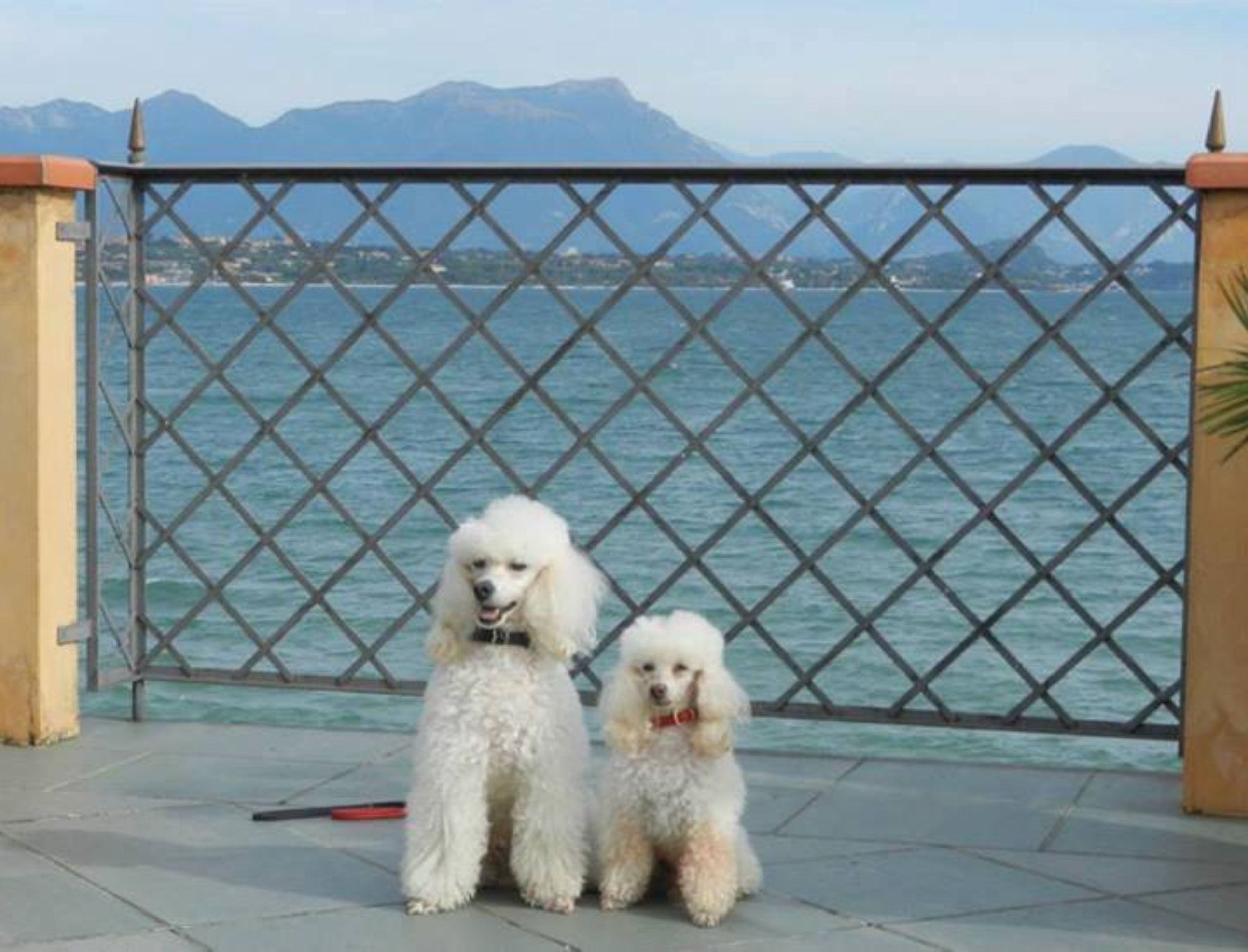 Desenzano Boutique Resort