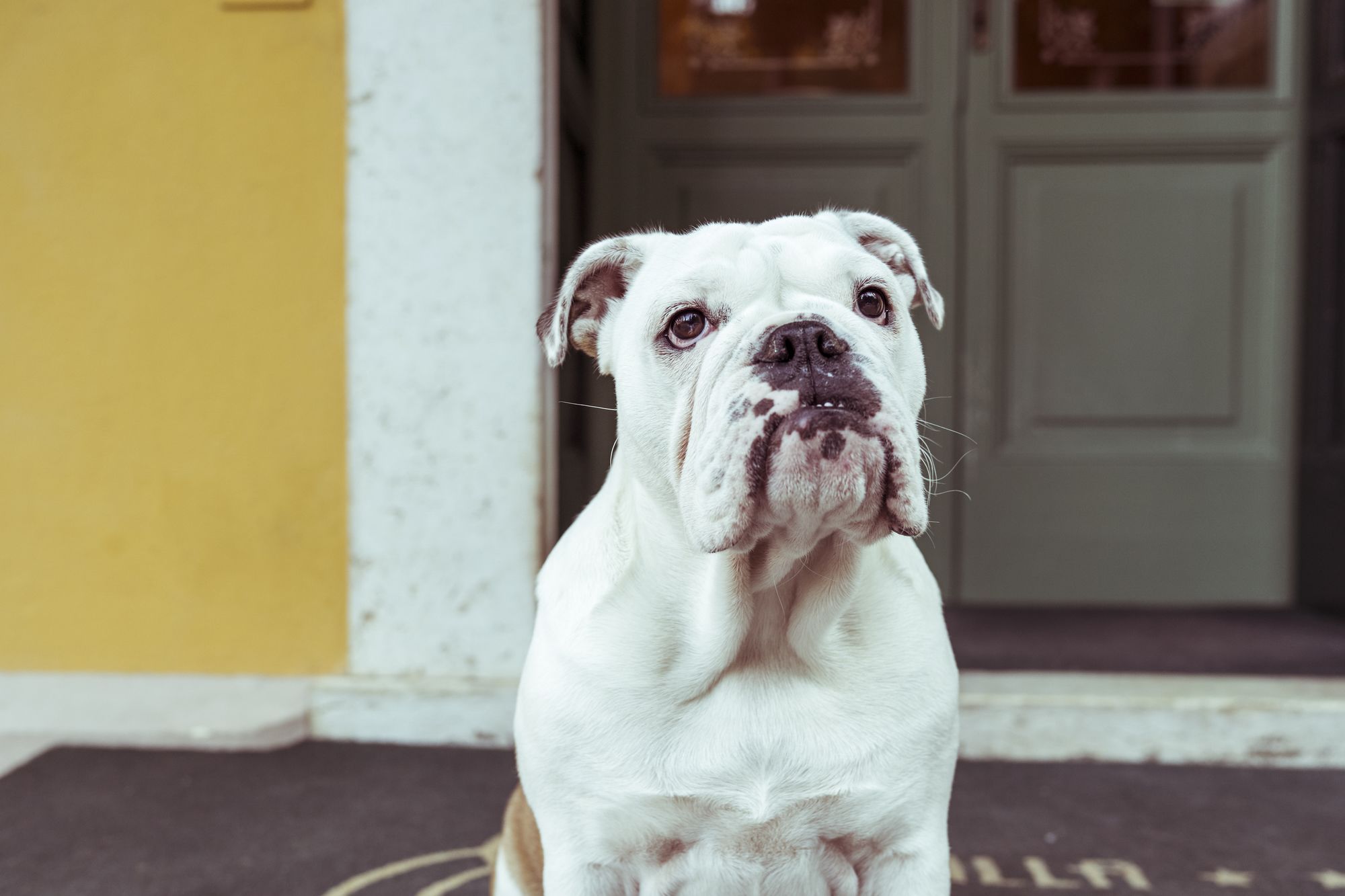 Boutique Hotel Villa Sostaga