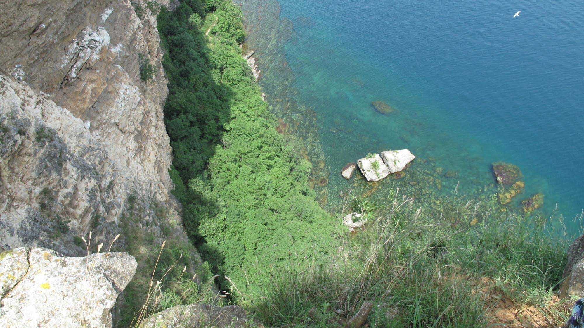 Residence Oasi