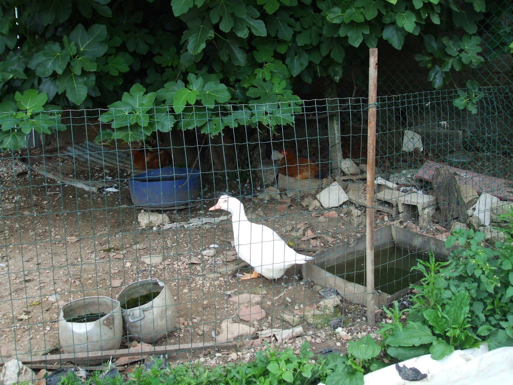 Agriturismo Nuvolino