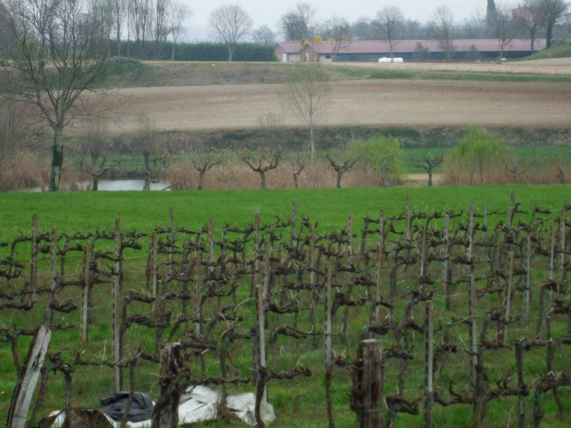 Agriturismo Nuvolino