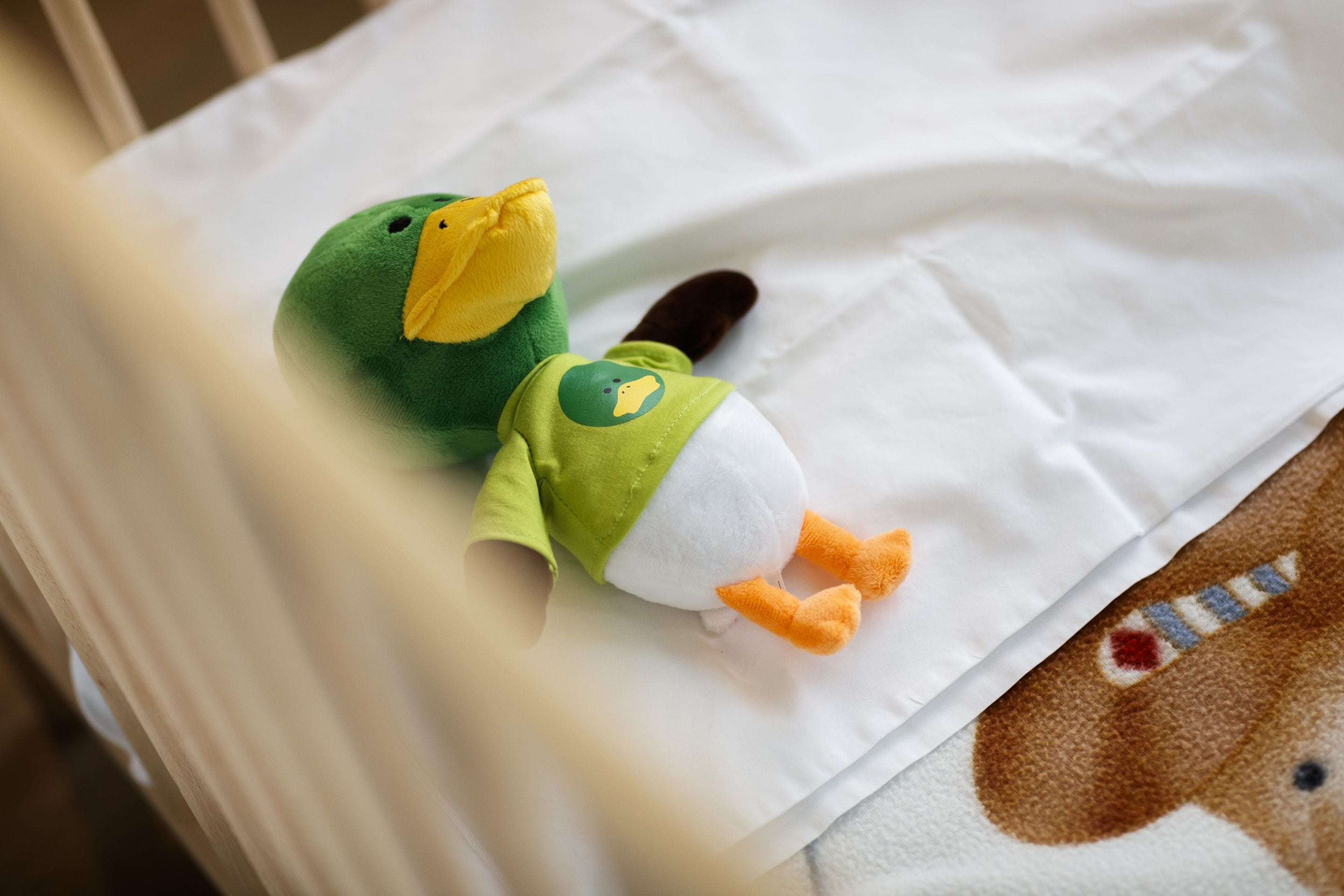 Du Lac et Du Parc Grand Resort