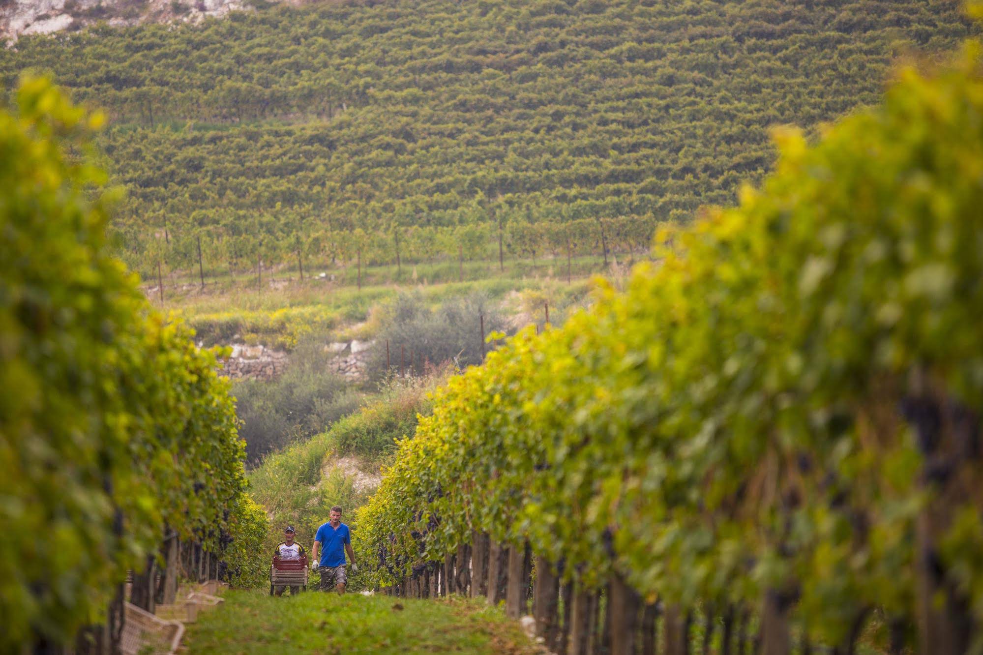 B&B Boutique Osteria Della Pieve
