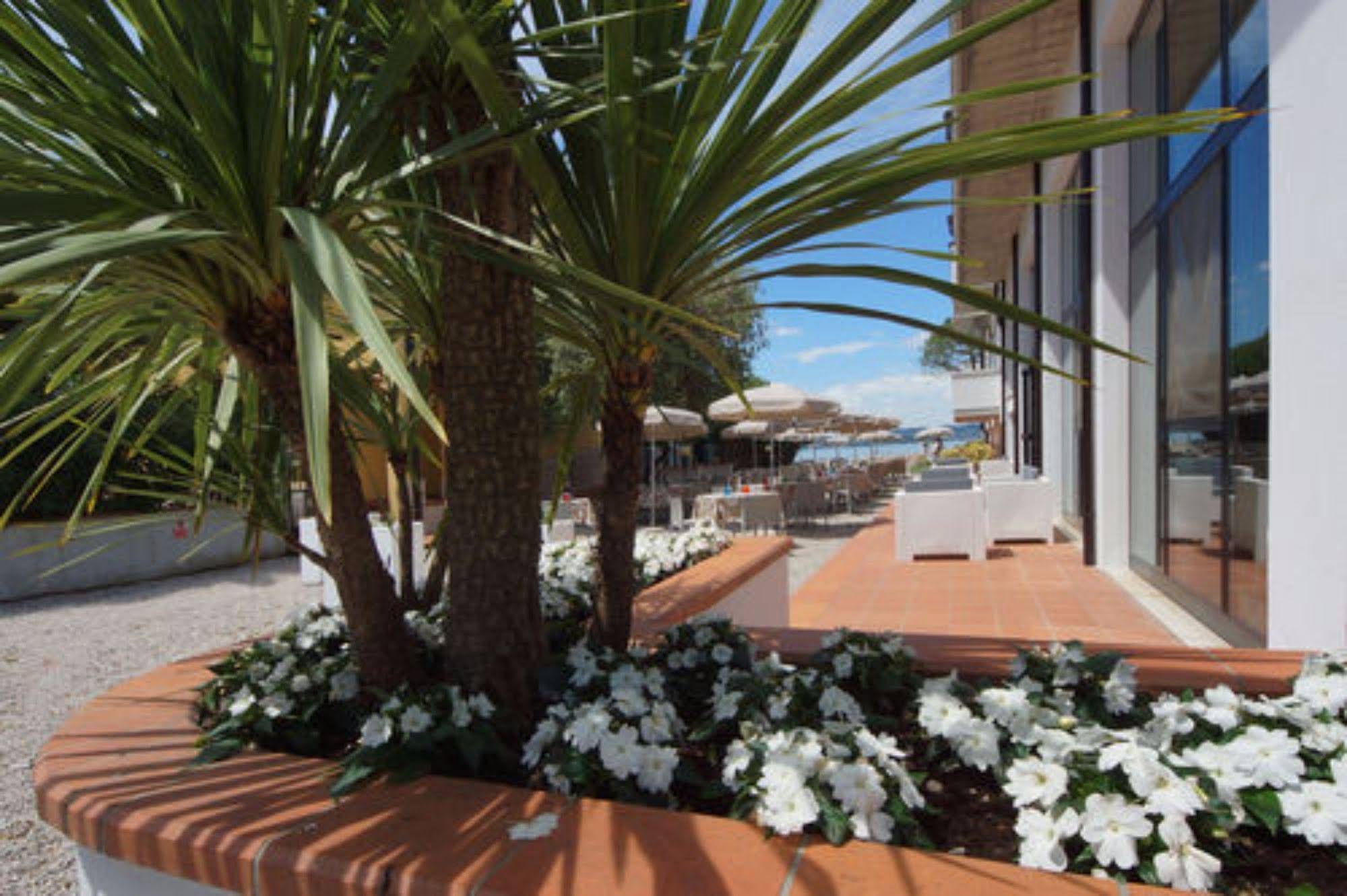 Hotel Saviola