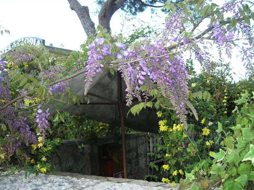 Villa Pagoda