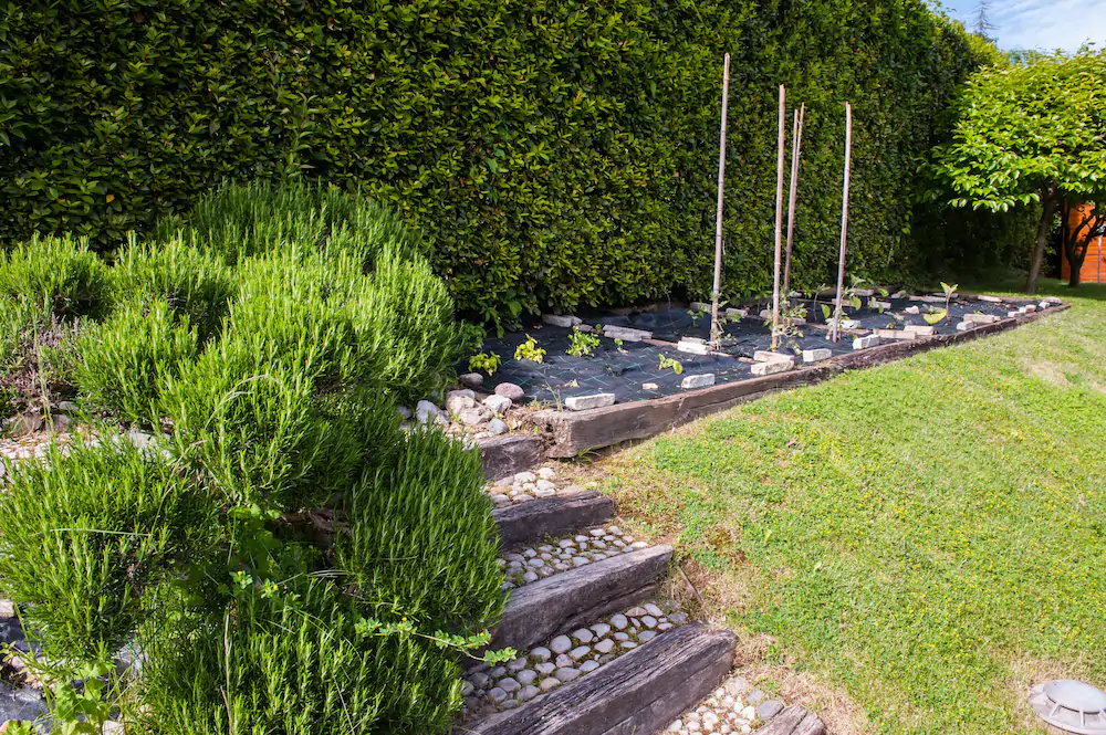 Villa Abbraccio Garden