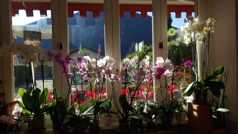 Caffe Del Viaggiatore