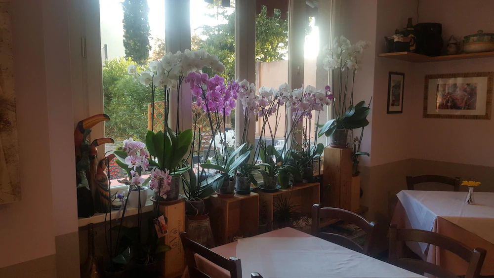 Caffe Del Viaggiatore