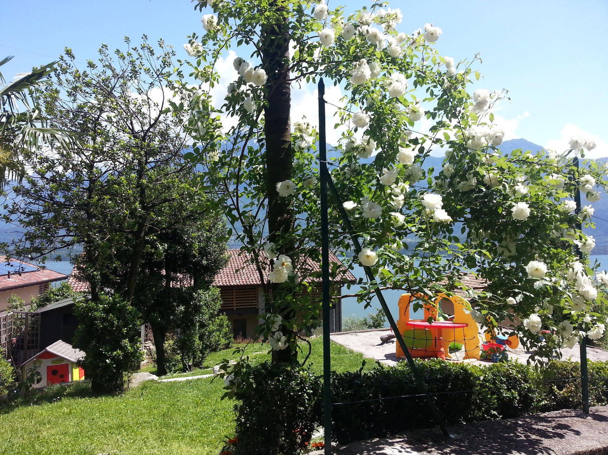 Il Giardino di Lory