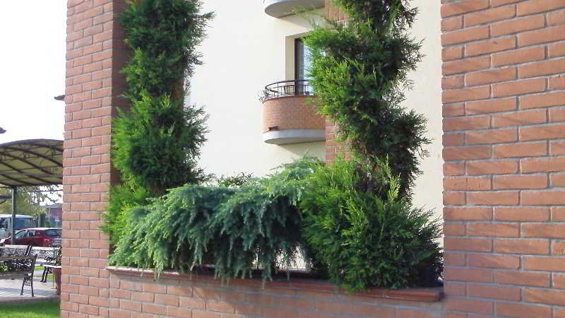 Hotel Da Vito