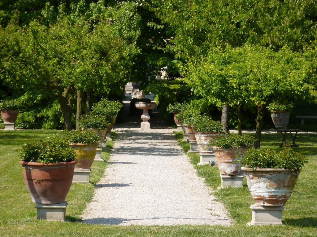 Villa Alberti