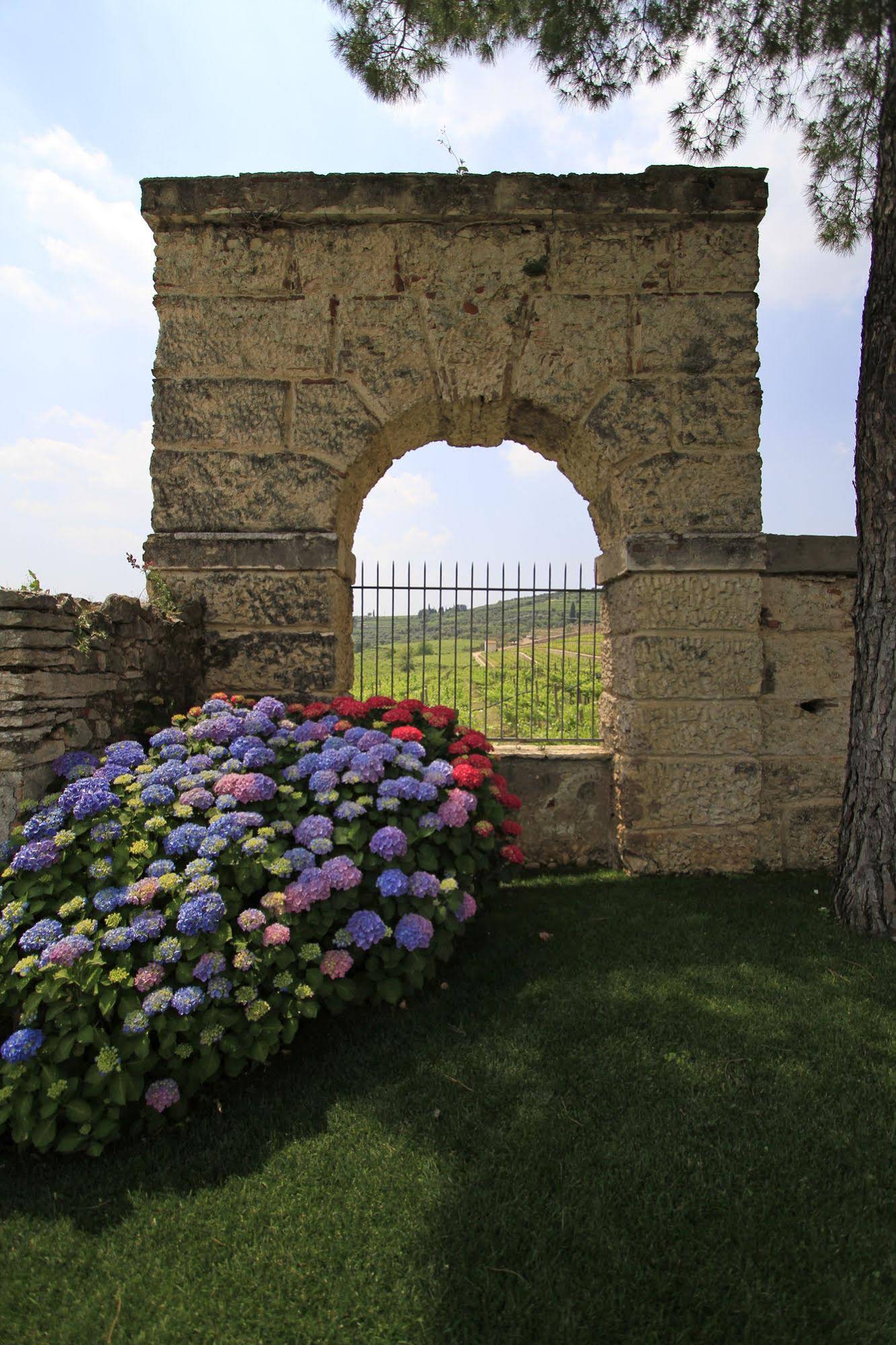 Villa Della Torre Allegrini