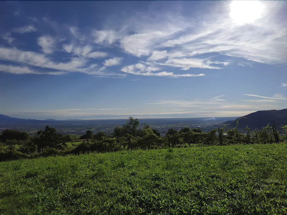 Bed And Breakfast Le Hibou