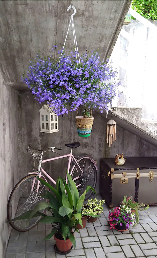 Bed And Breakfast Le Hibou