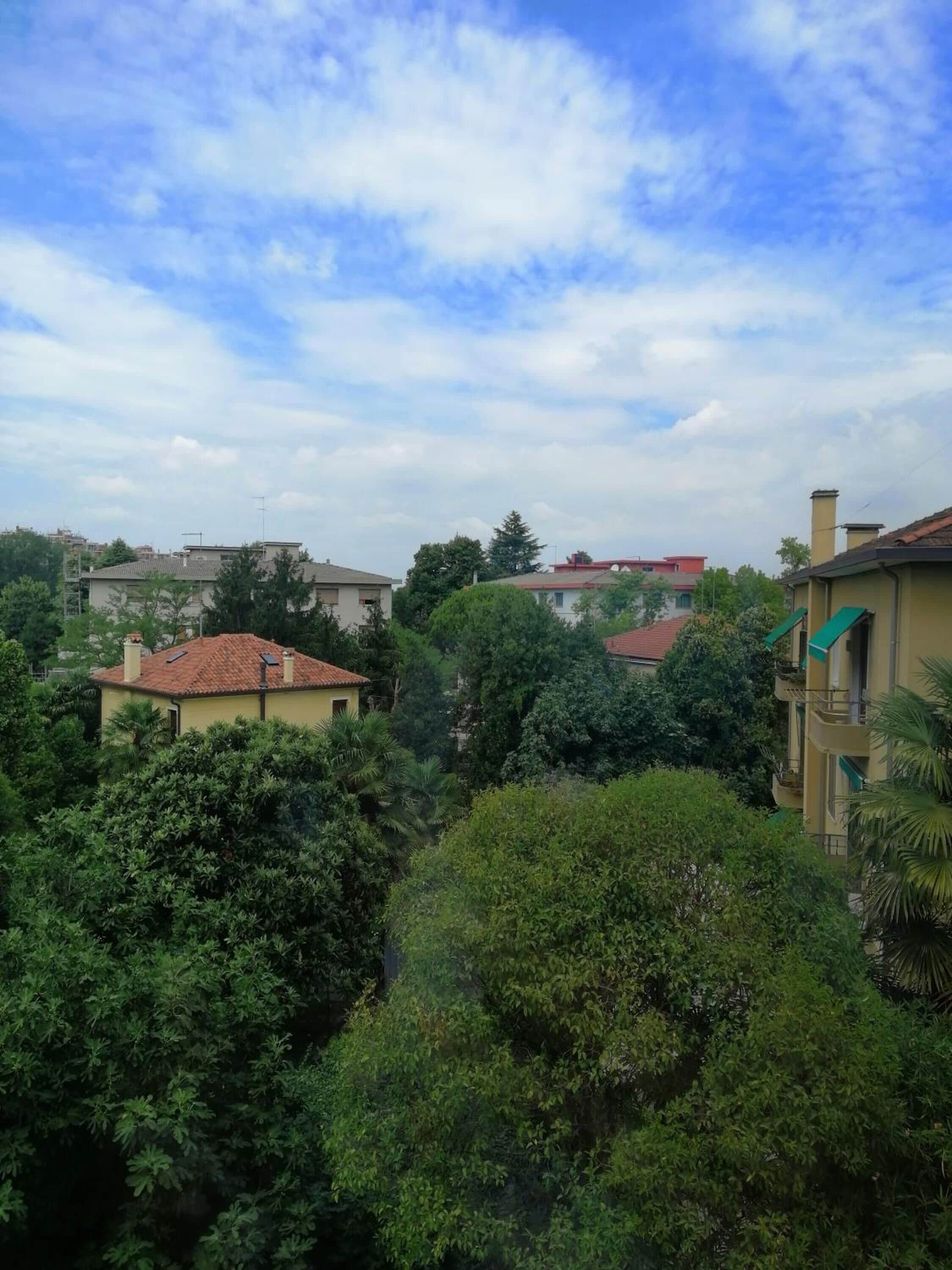 City of Art Venice LLoyd