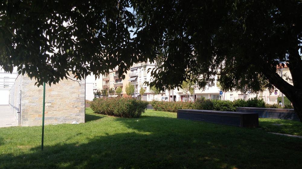 Mestrina