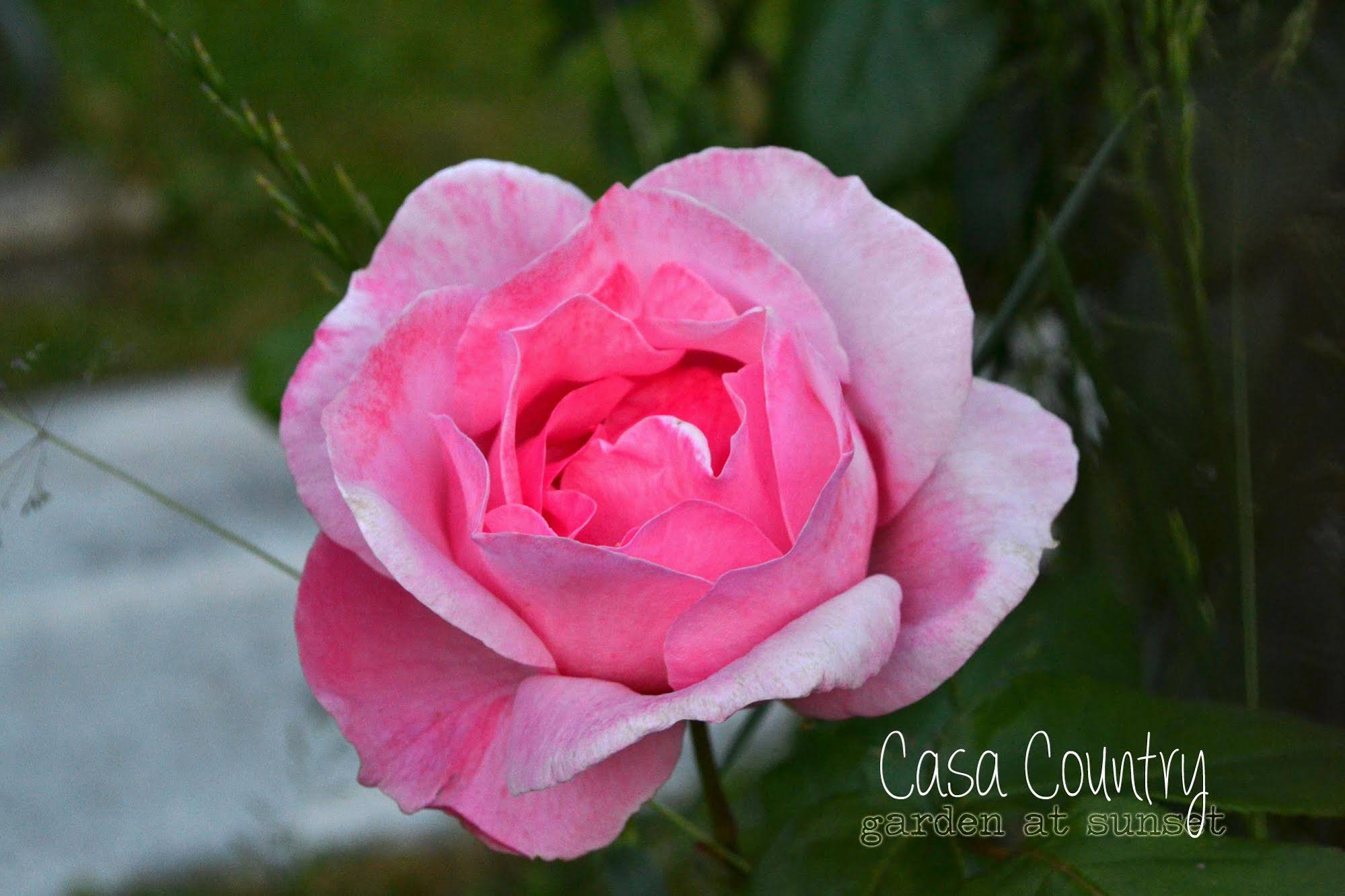 Casa Country B&B