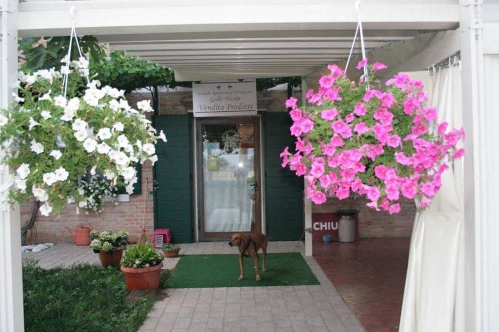 Agriturismo Antico Fighèr