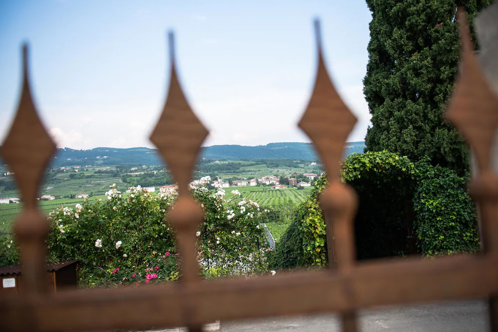 Hotel Villa Moron