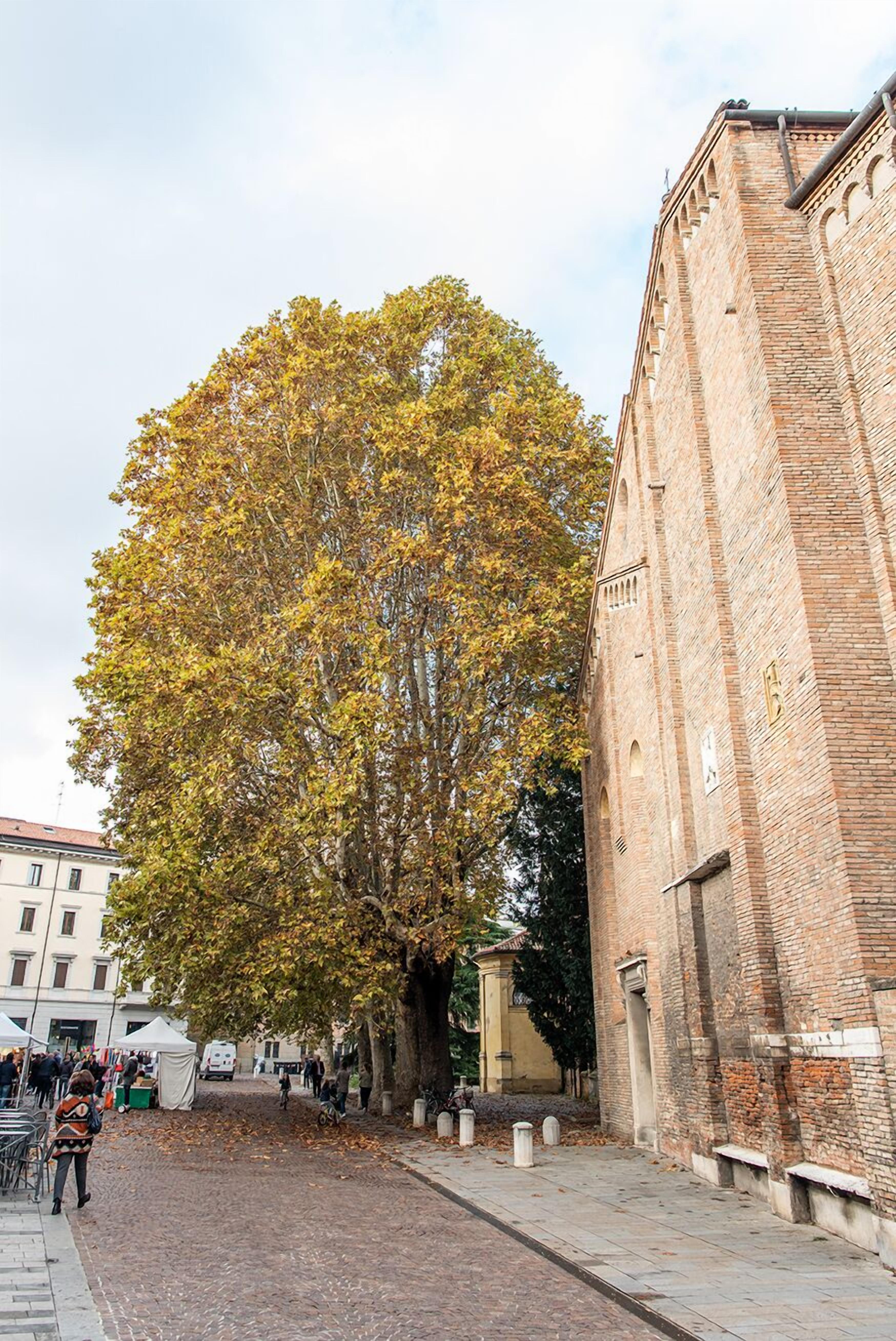 Casa Giotto