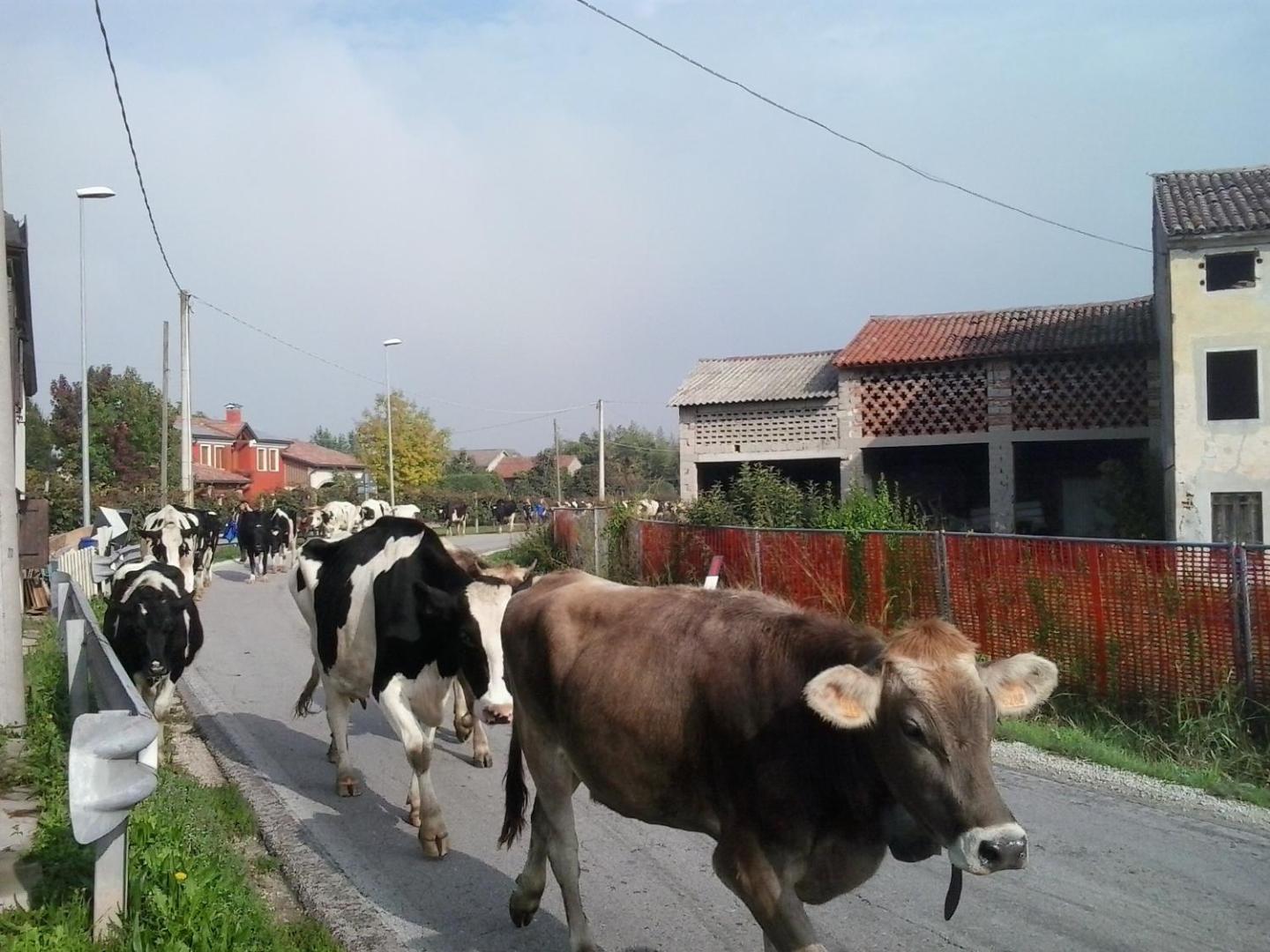 La Prateria Agriturismo