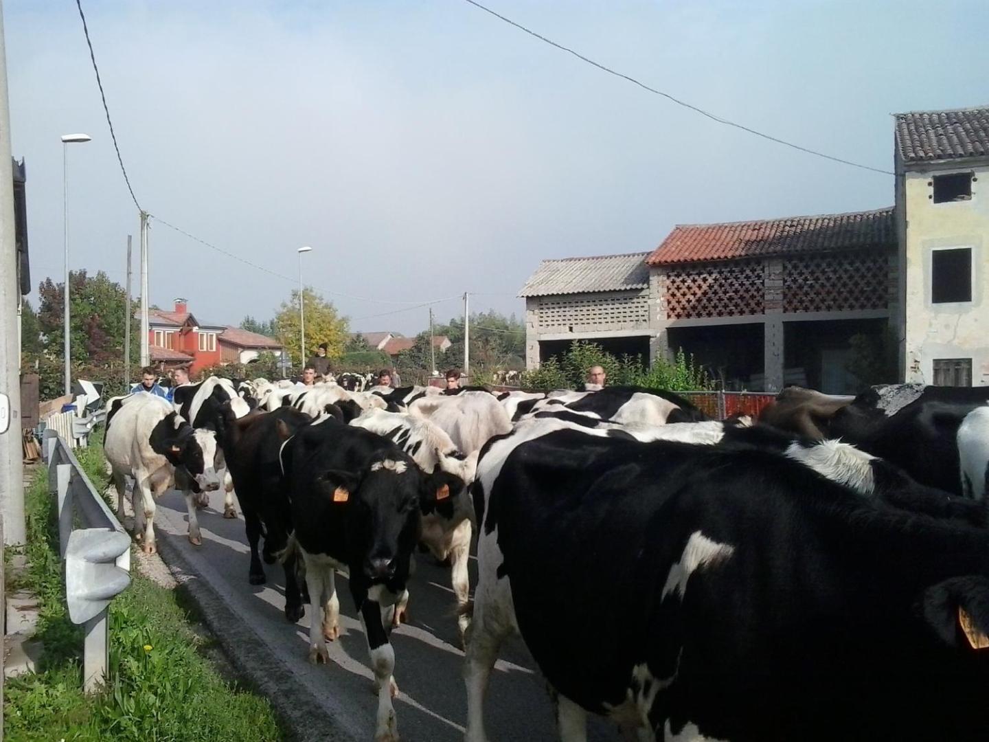 La Prateria Agriturismo