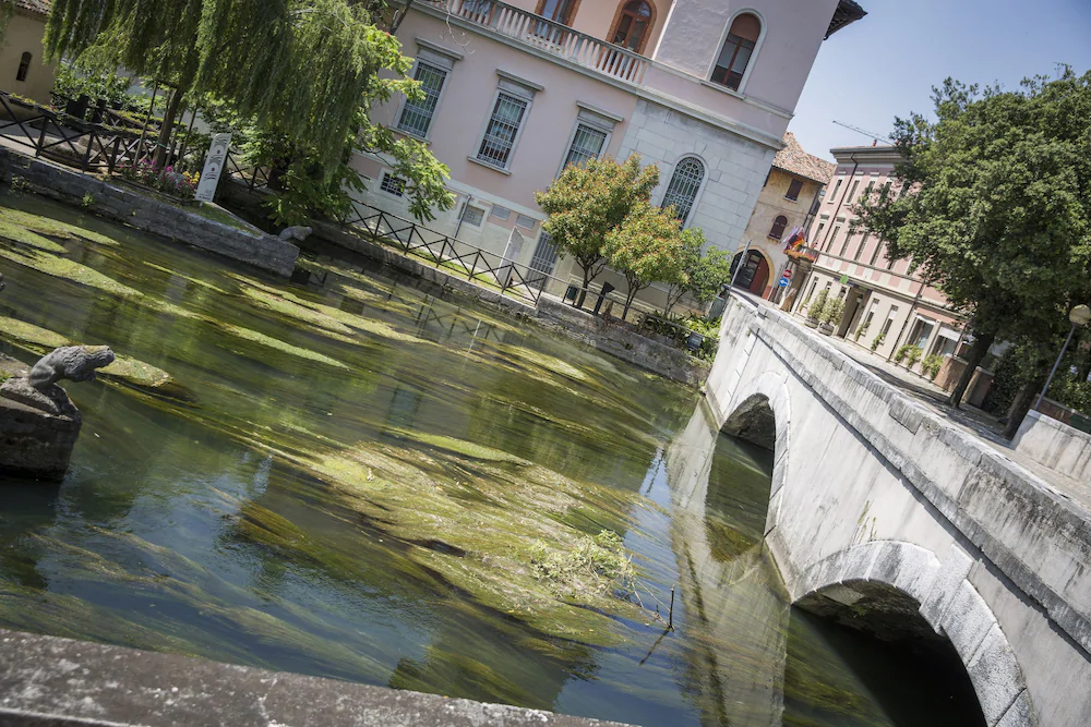 Antico Albergo Spessotto