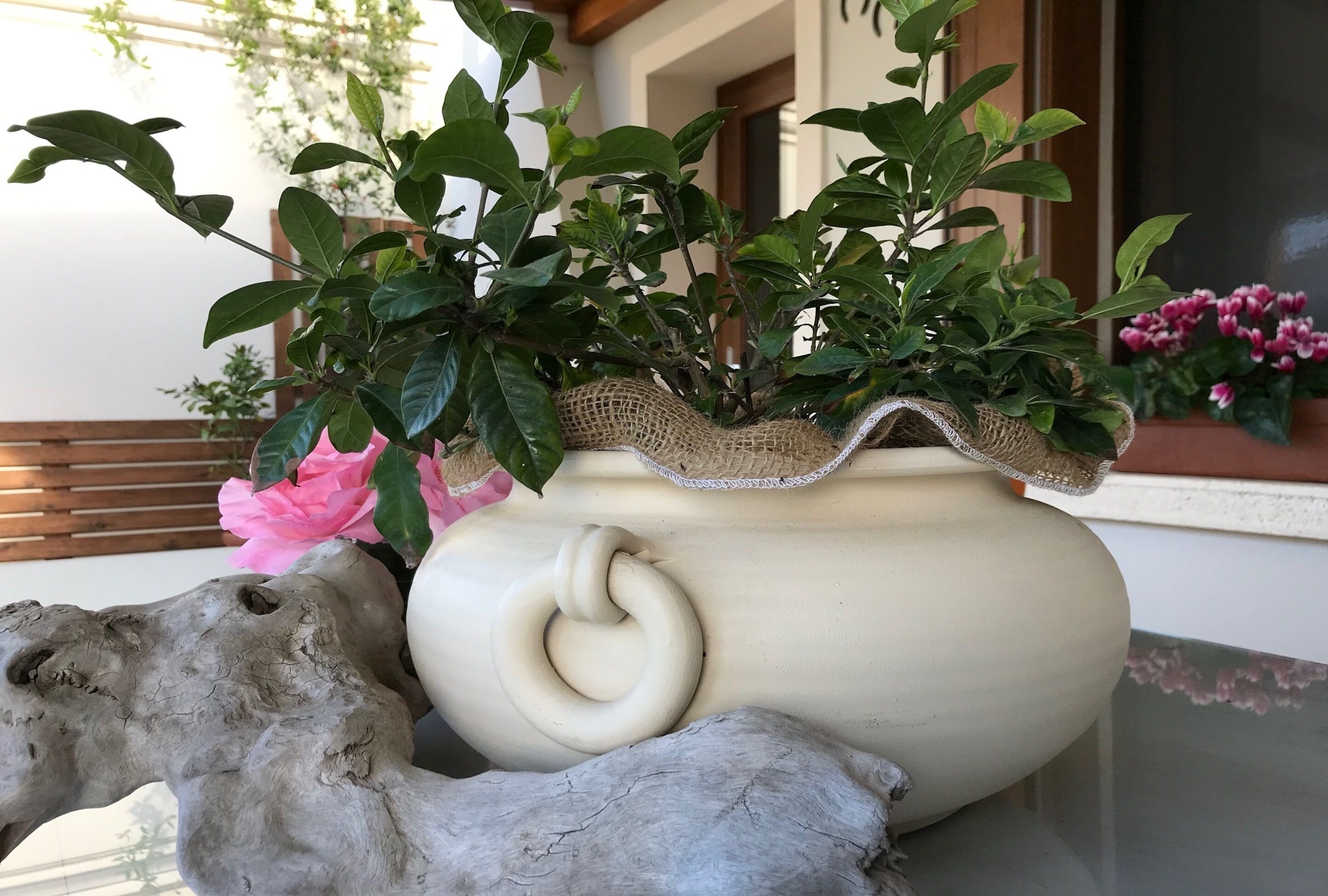 Tenuta Della Duchessa