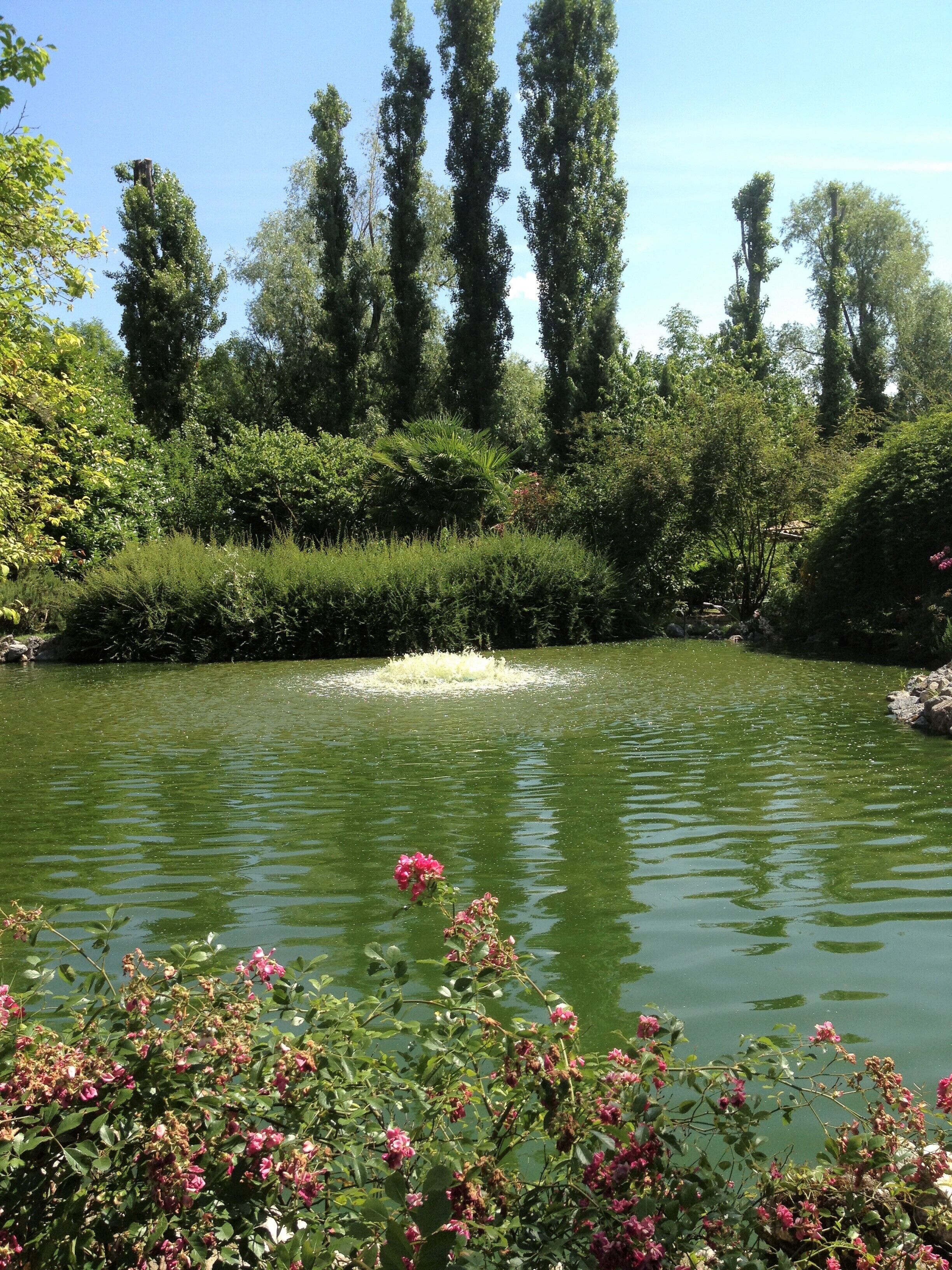 Villa Foscolo  Luxury Rooms & Apartments