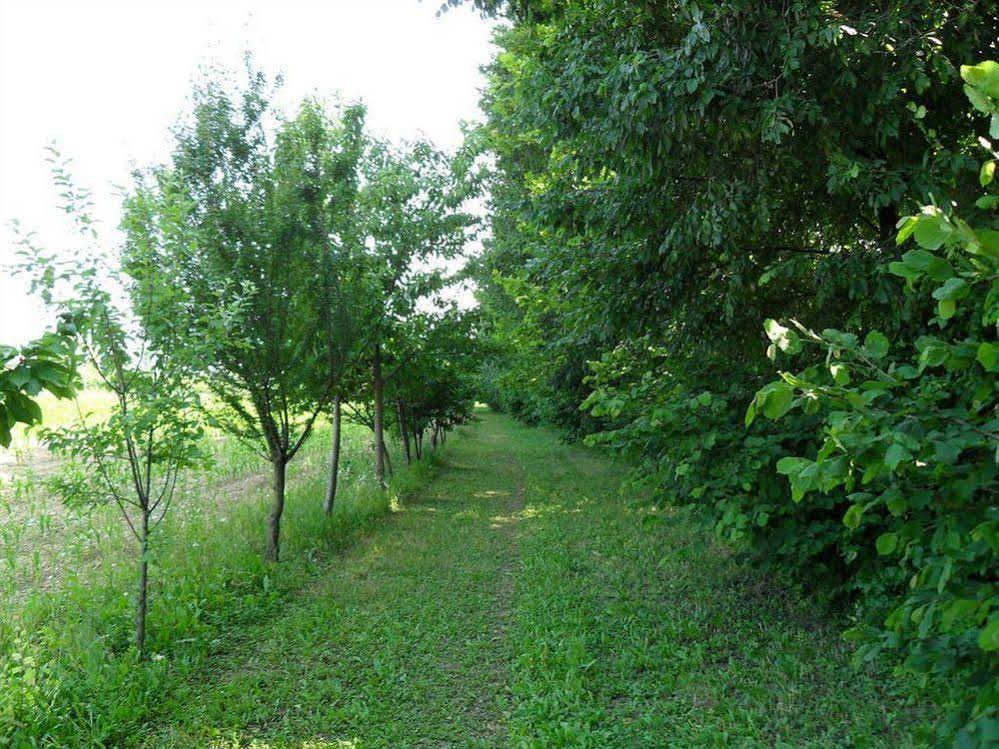 Dartora Agriturismo