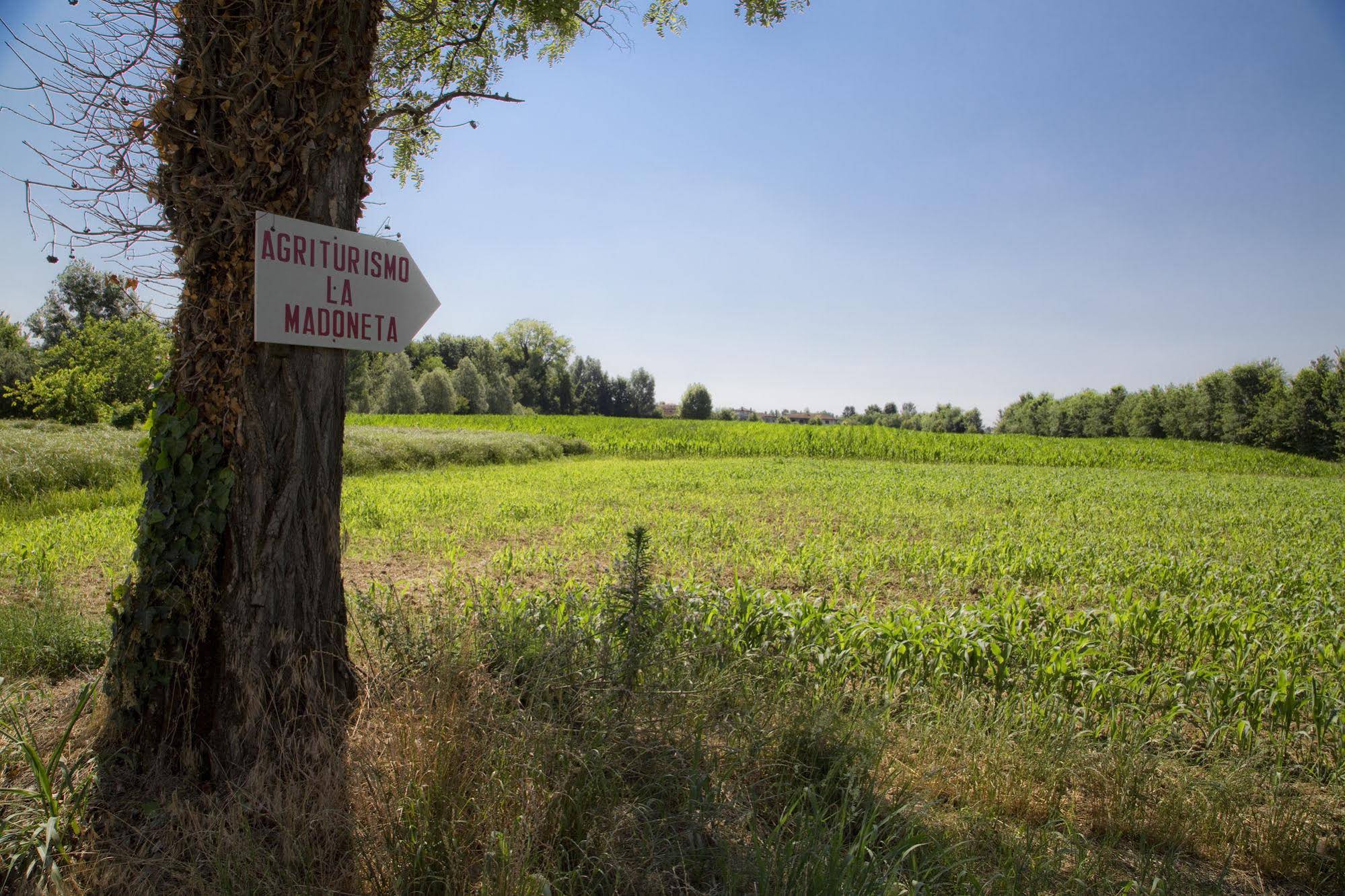 Agriturismo La Madoneta