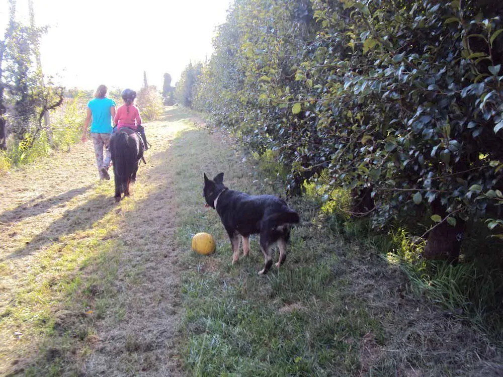 Agriturismo Ca Del Ferro