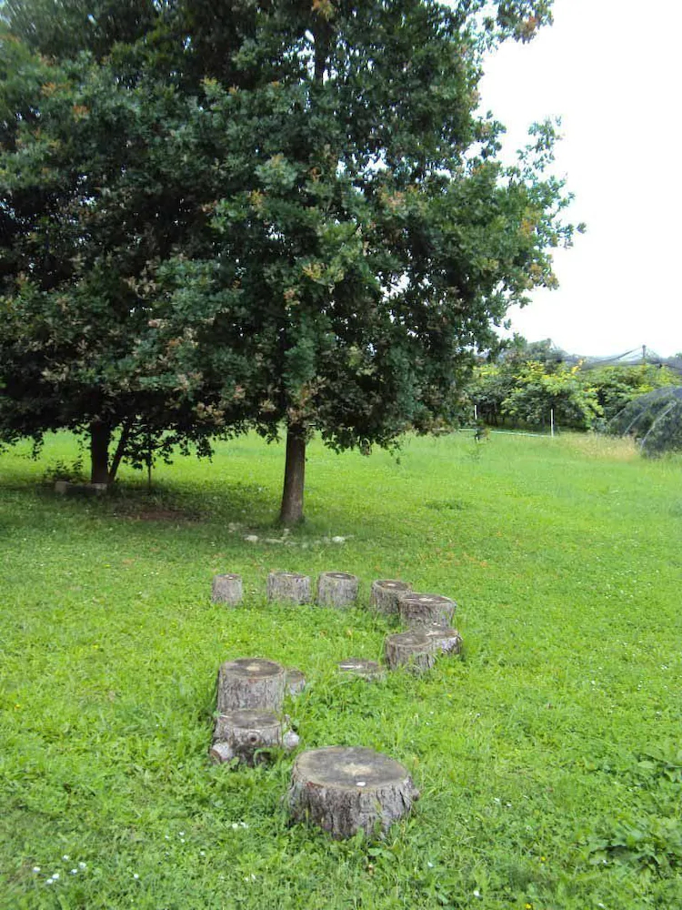 Agriturismo Ca Del Ferro