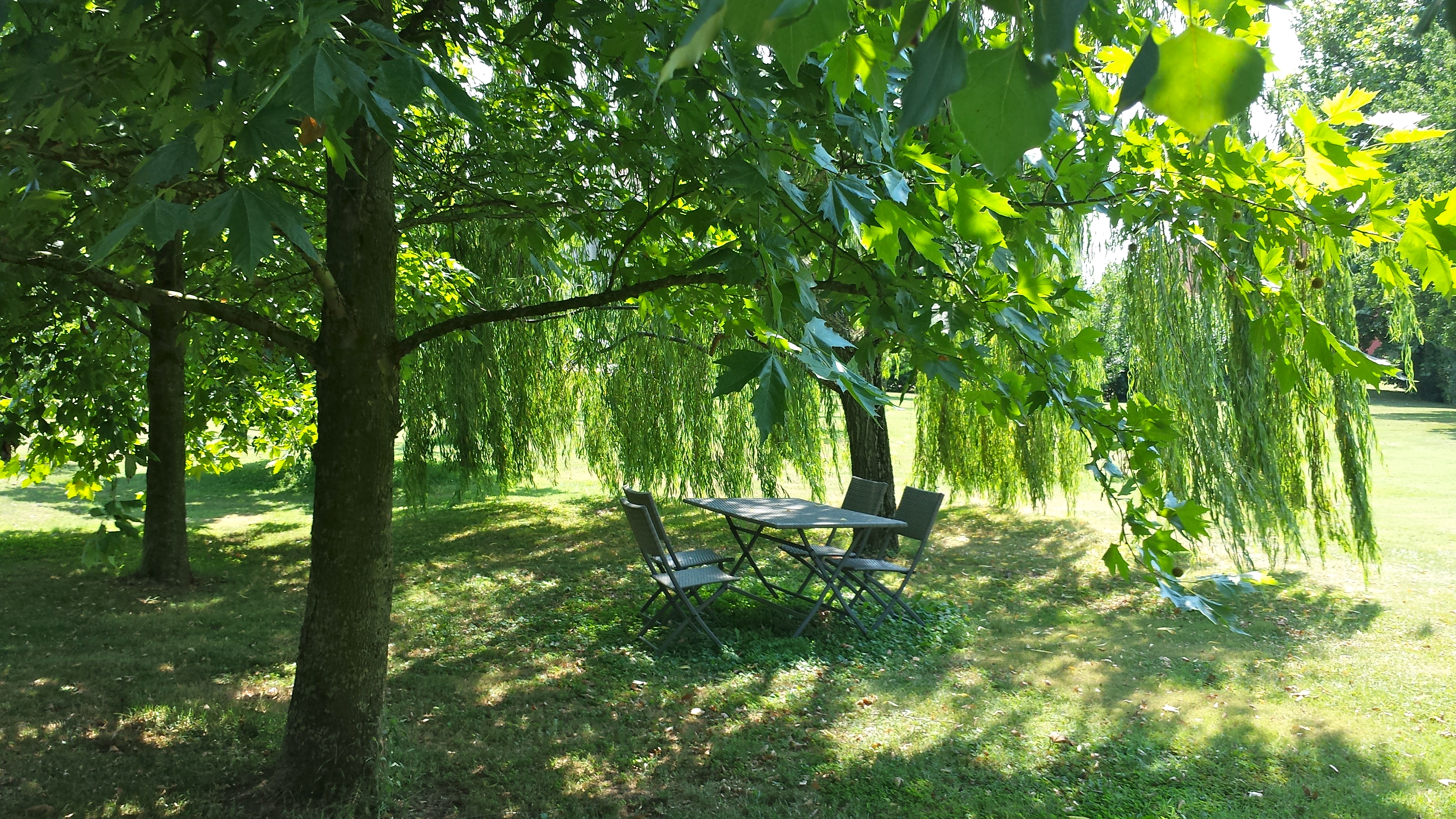 Musella Winery And Relais