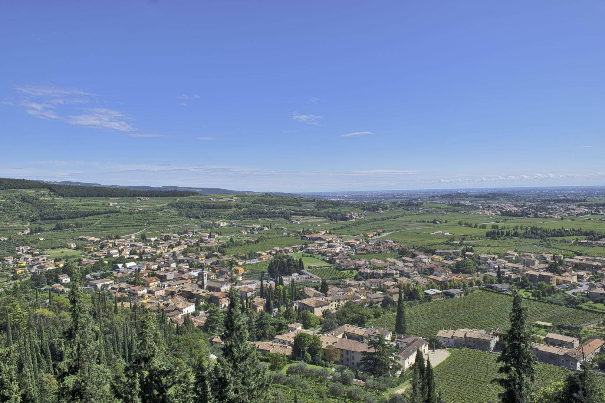 Valpolicella International