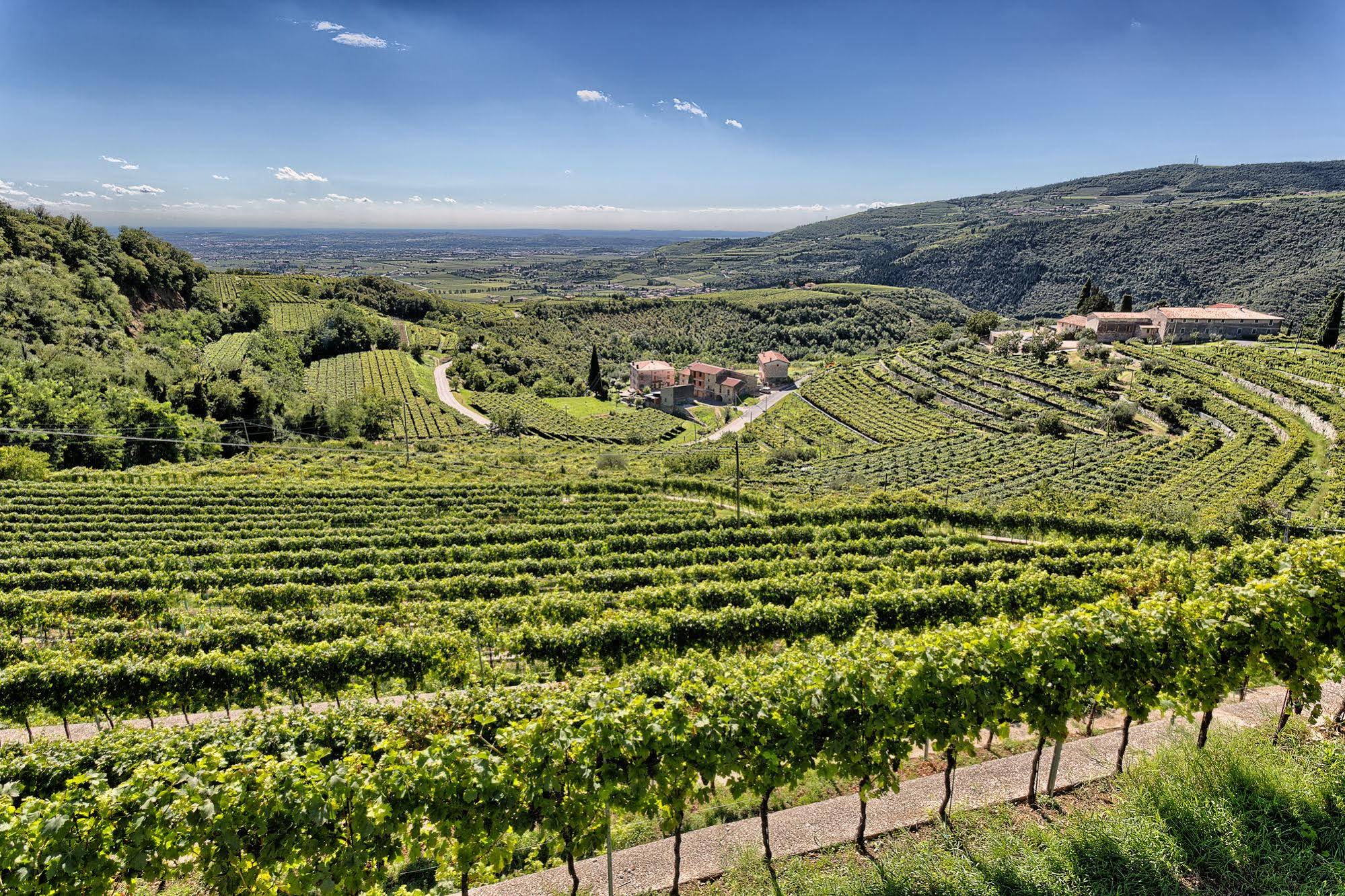 Valpolicella International