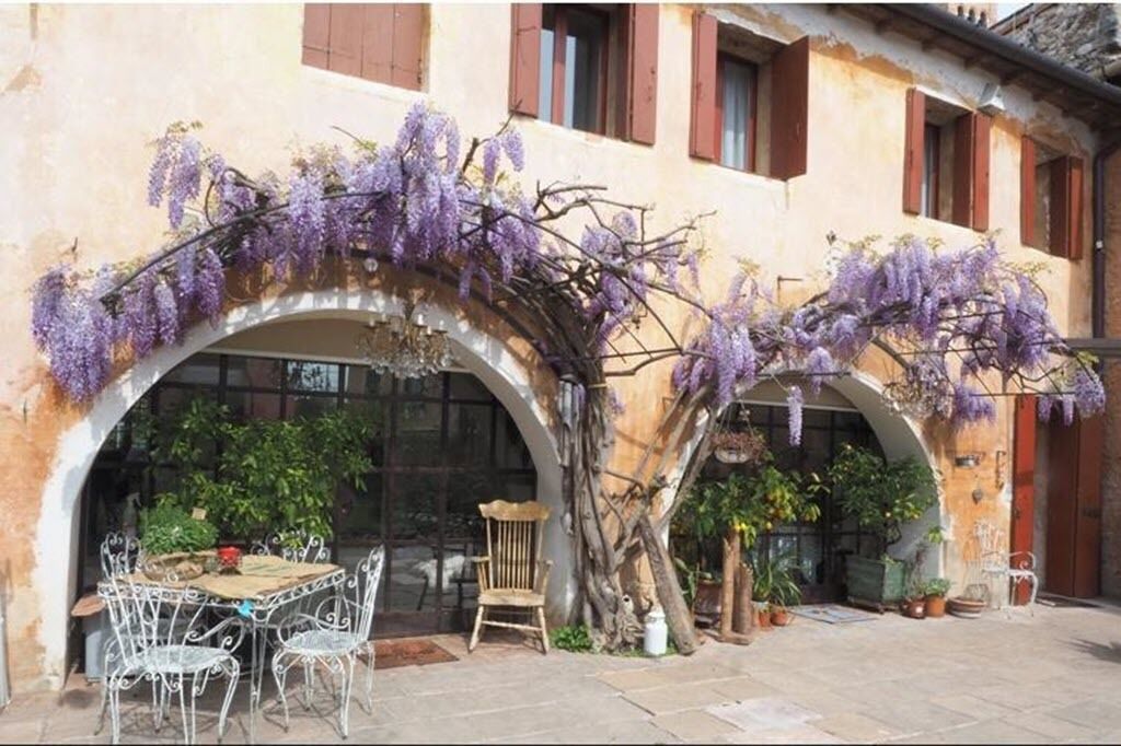 Borgo Conti B&b