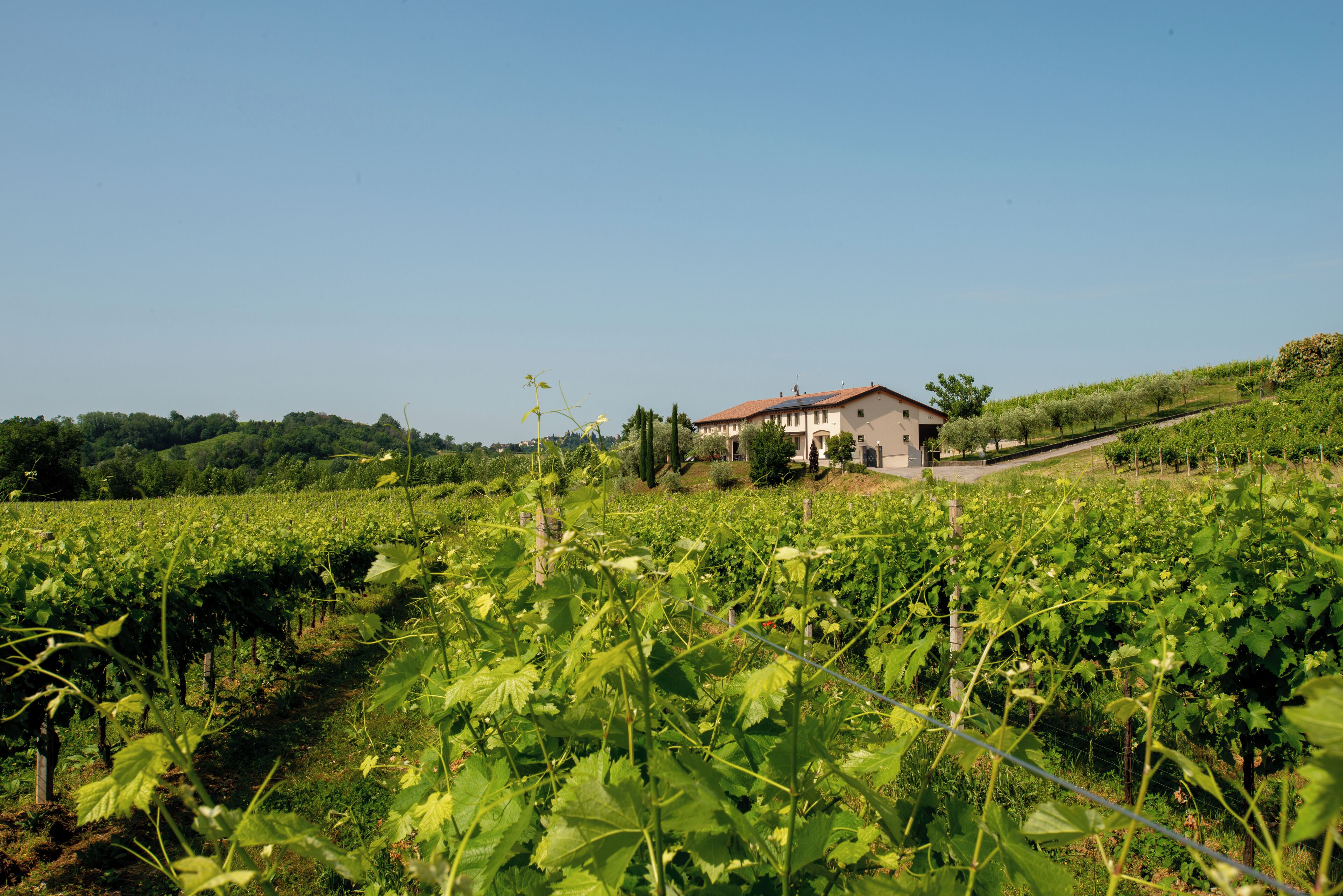 Relais La Dolce Vite