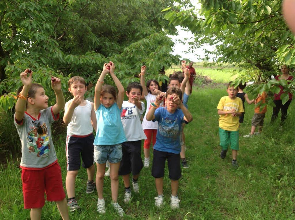 Agri-Campeggio El-Bacan