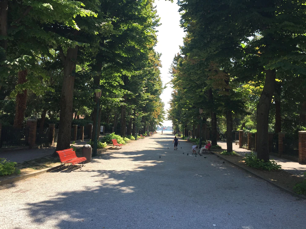 Castello Biennale Venezia