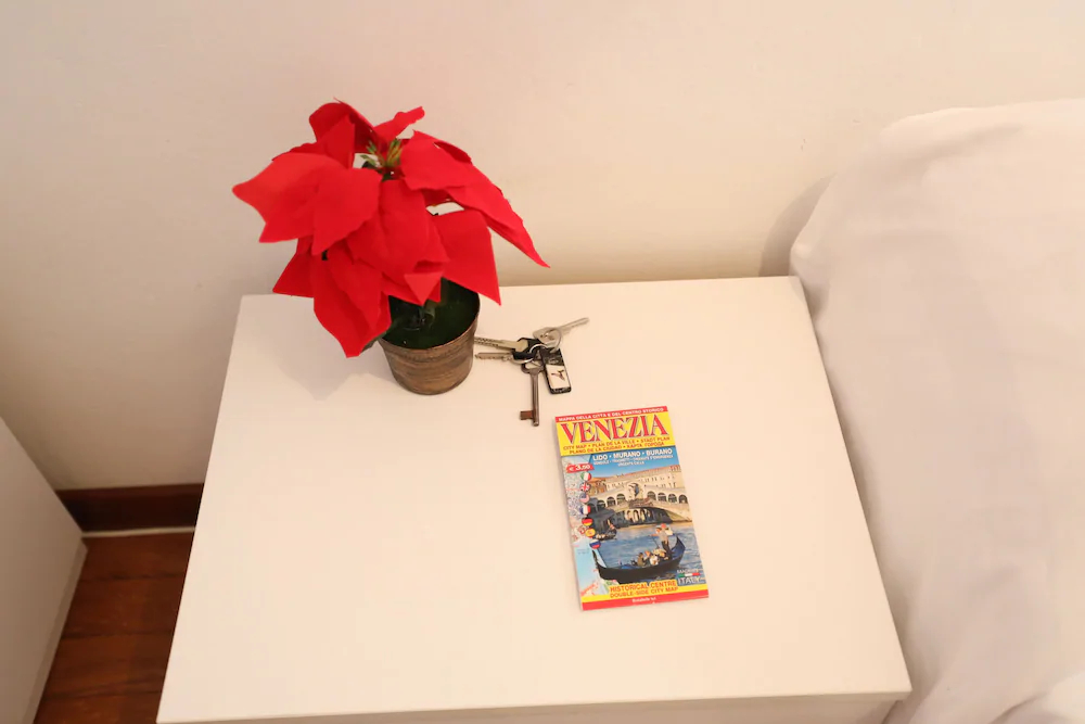 Dorso Duro Apartment