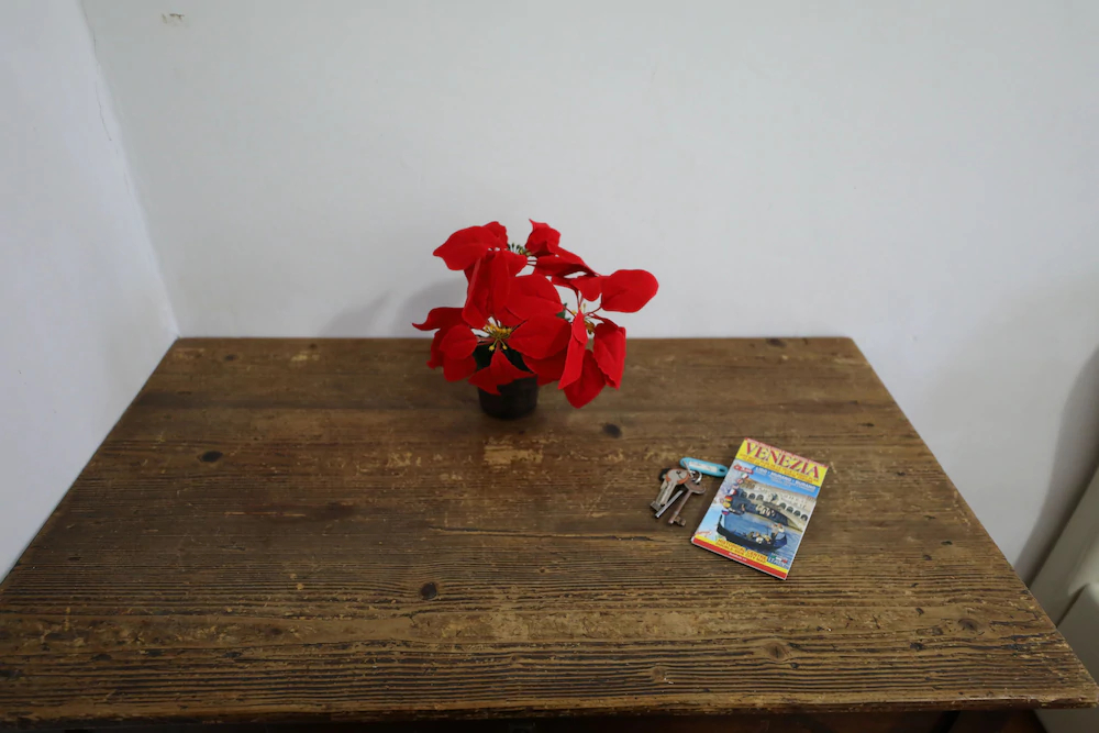 Dorso Duro Apartment