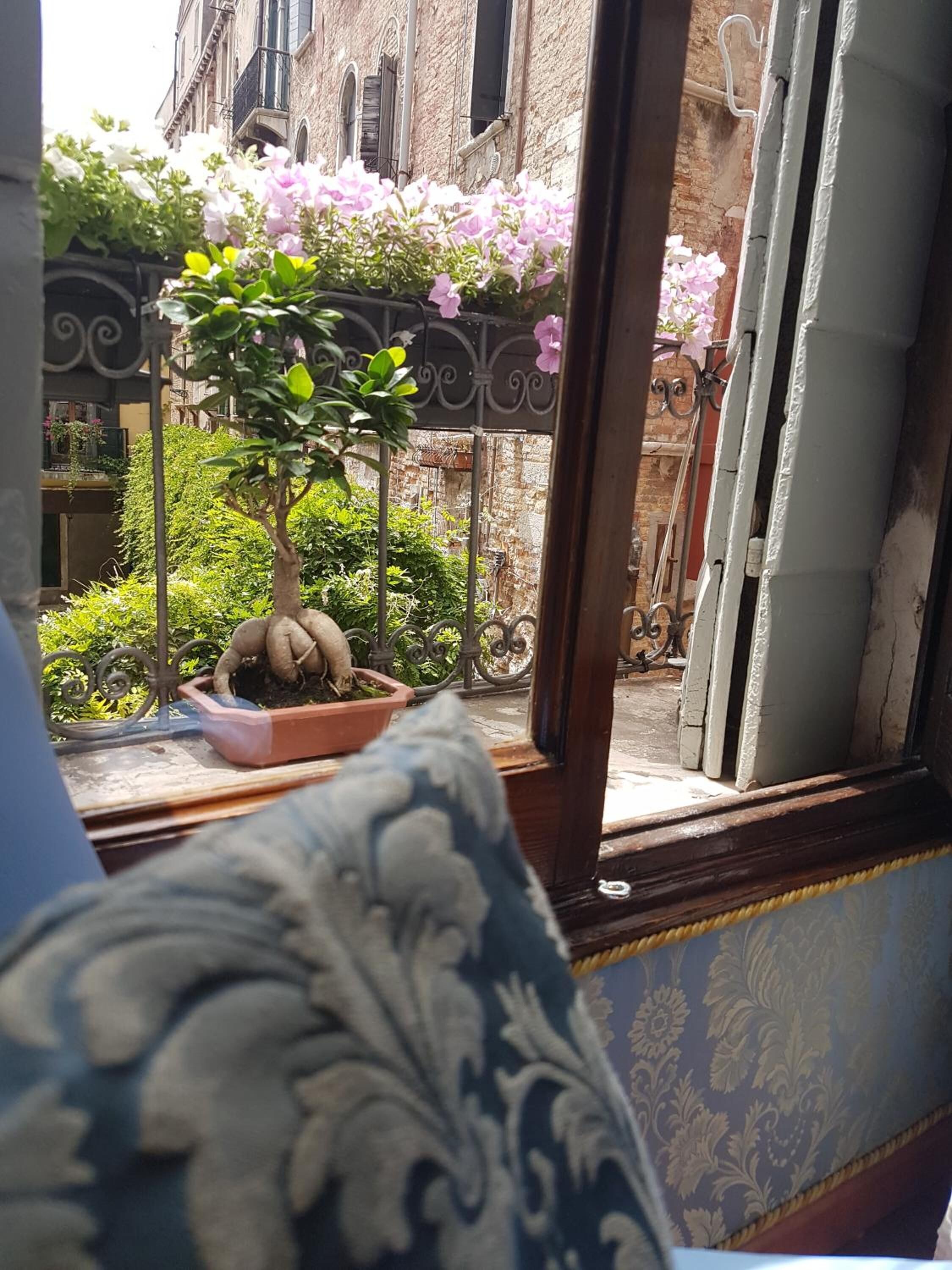 Friendly Venice