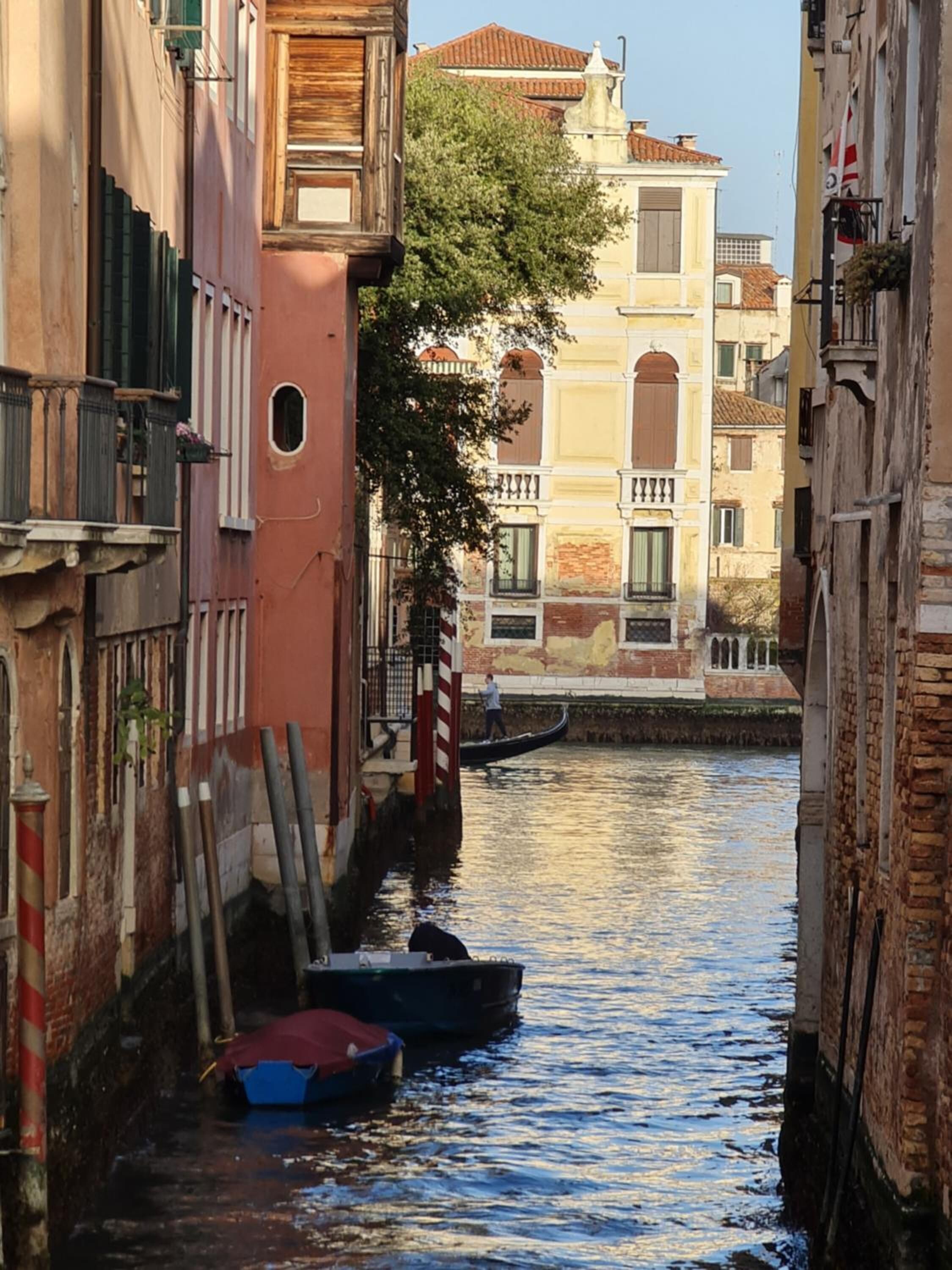 Friendly Venice