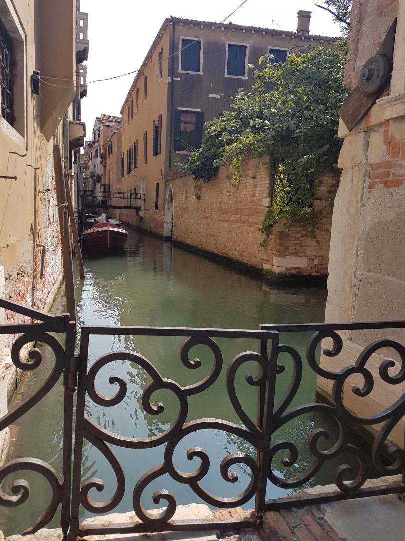 Friendly Venice