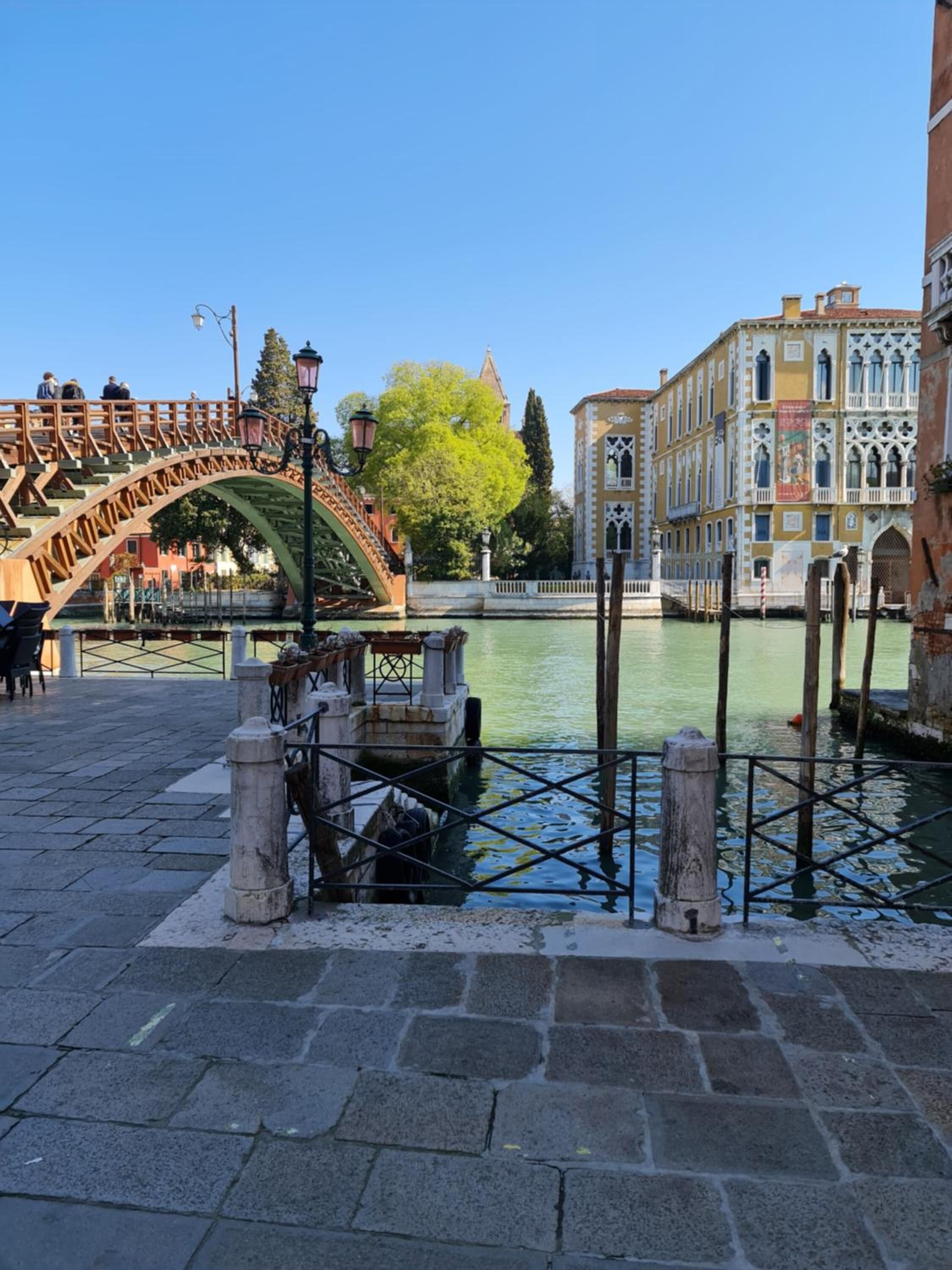 Friendly Venice