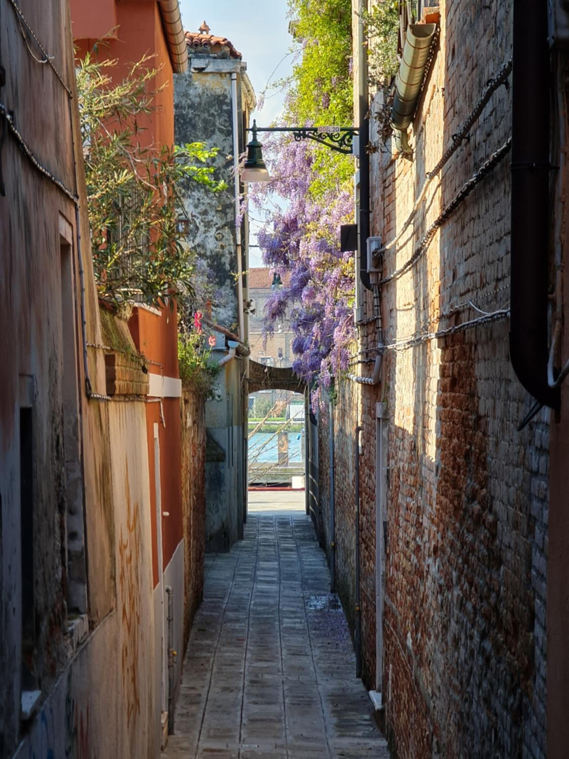 Friendly Venice