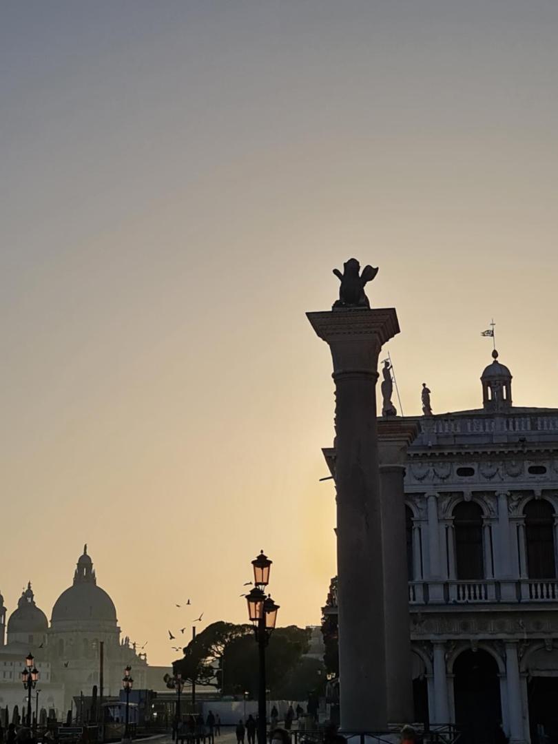 Friendly Venice