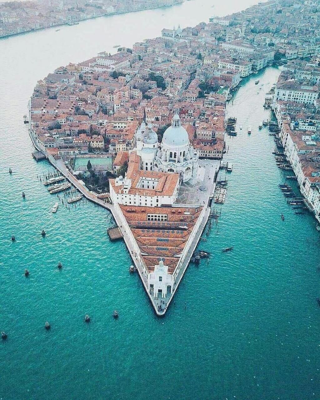 Friendly Venice